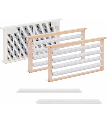 Kit Élevage Reine Apiculture - Boîte Élevage + Cupples + Outils Greffage - Débutant Et Pro