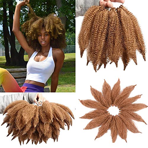 Morningsilkwig 3 Packs Crochet Marley Braids Kanekalon Cheveux synthétiques Afro Twist Synthetic Braiding Hair Extensions High Temperature Fiber For Woman 8Inch (Marley Braids 27#)