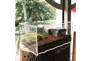 Vinnykud Mini Terrarium Transportbox,Reptil Fütterungsbox aus Acryl, Tragbarer Reptilienzuchtbox Transparent Reptil Zuchtfall für Spinnenechsen, Eidechse, Skorpion, Gehörnter Frosch(37.5×24.6×19.4cm)