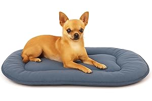 Flamingo Coussin pour Chien Firenze Fin Ovale Bleu - 45x33x3cm - Idéal pour Chihuahua, Yorkshire Terrier, Spitz Nain, Caniche Toy & Bichon Maltais