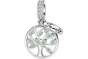 Dalaran Sterling Silver Heart Charm for Pandora Mum, Sister, Daughter, Wife - Family Dangle Charm