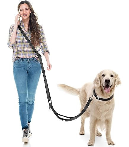 Parker And Co Hands Free Dog Leash FABLE Magic Hands-Free Dog