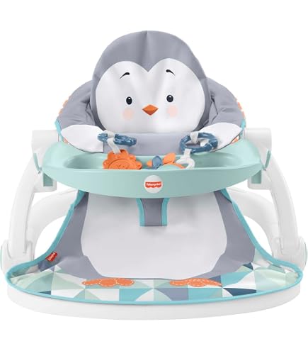 FISHER PRICE KICK & PLAY DELUXE SIT ME UP SEAT IN BOX - Earl's Auction