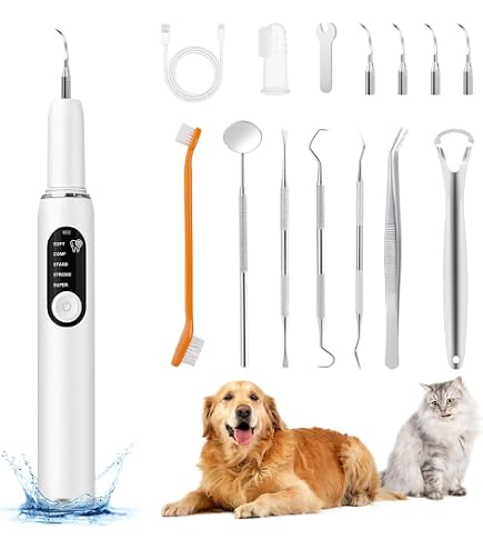 Spray Dentale per Animali Domestici Più Popolare, Cura Orale, Pulizia dei Denti