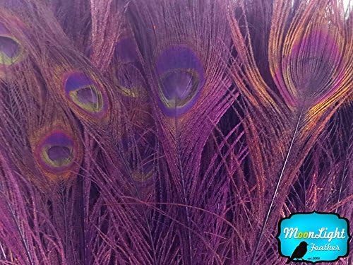 Peacock Feathers, 30-35" Purple Peacock Feathers - 100 Peacock Feathers by Moonlight Feather