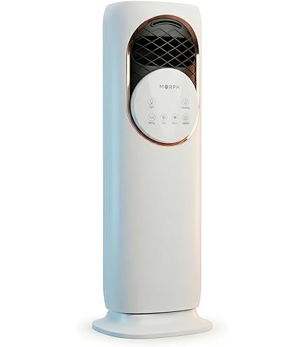 Buy Dyson AM09 Hot And Cool Fan, Pack Of 1 Online at Low Prices in Buy Dyson AM09 Hot And Cool Fan, Pack Of 1 Online at Low Prices in