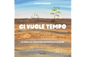 Ci vuole tempo. La storia dell'evoluzione raccontata da un sasso. Ediz. a colori