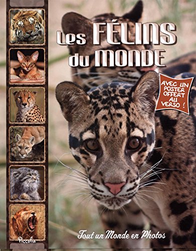 <a href="/node/26303">Les félins du monde</a>