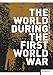 Produktbild The World during the First World War