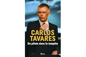 Un pilote dans la tempête