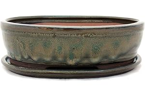 EXOTENHERZ Bonsaï Bol avec sous assiette Taille 4 – Vert Olive/marron – Ovale – Modèle o7 – L 26 cm – B 21 cm – H 7,5 cm