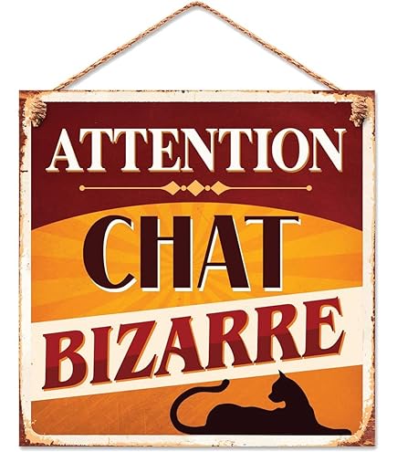 Zone Patrouillée Par Des Chats - Cadeau Personnalisé | Plaque