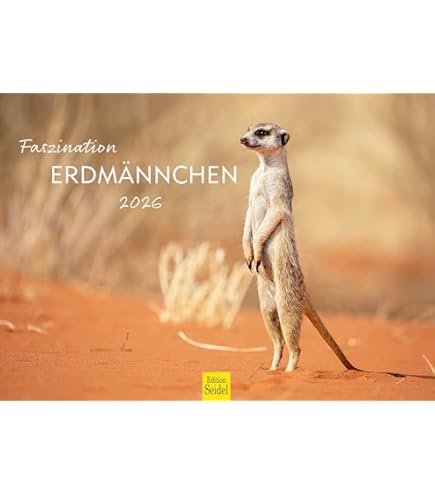 Edition Seidel Calendario Premium Fascino Dinosauro 2025 Formato Din A4 Da Parete Con Animali Giurassici Dino Tyrannosaurus Rex Rettili 1175010298