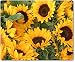 Produktbild Mauspad / Mouse Pad aus Textil mit Rückseite aus Kautschuk rutschfest für alle Maustypen Motiv: Blume Sonnenblume | 01