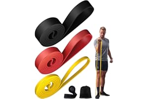 COYONCE Elastici Fitness, 3/4PCS Bande di Resistenza Diversi Livelli Con Ancoraggio alla Porta per Uomo e Donna, Stretching, Pilates, Palestra