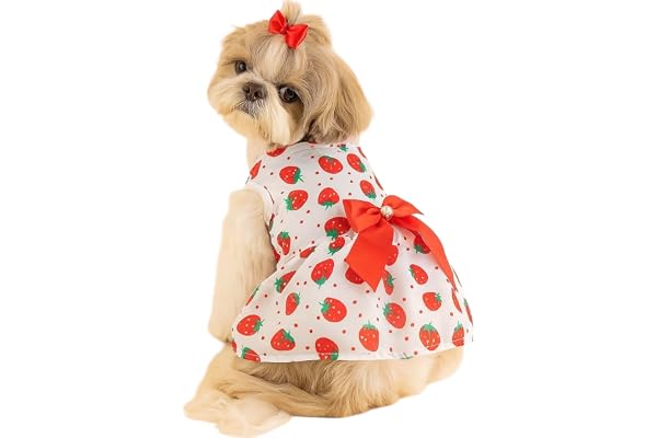 KUTKUT Small Girl Dog & Cat Dress with Lovely Bow Pet Apparel Puppy Summer Dress Birthday Pet Apparel Dresses Frock Dresses for Cavalier King, Frenchi, etc (Size: 2XL, Bust:55cm, Length 45cm)