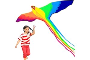 Touch the sky Cerf-Volant Phénix Coloré pour Enfants et Adultes, Facile à Voler, Conception de Structure Unique, Excellents Jeux de Plein Air et Jouets D’activité, Adaptés aux Débutants.