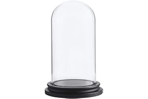 Whole Housewares Decorative Clear Glass Terrarium Dome Cloche, Black MDF Base, Tabletop Centre Piece, Cloche Bell Jar Display Case, Glass Jar with Lid, Kitchen & Bar Accessory, Home Decor
