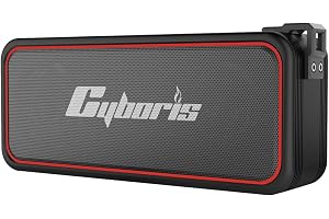 CYBORIS Kraftfull 20 W Bluetooth-högtalare vattentät IPX7 - Trådlösa bärbara högtalare - HiFi - Djup bas - BT5.3 - Dubbel mat