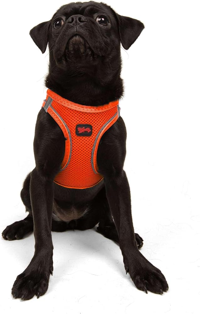 Tailpetz Air-Mesh Küçük ve Orta Irk Kedi Köpek Göğüs Tasması - Yumuşak, Nefes Alabilir, Dayanıklı (Neon-Turuncu, Medium)