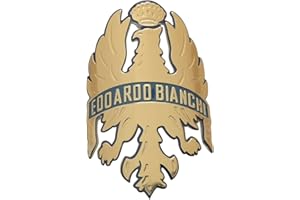 RUILIN Adesivi per la testa della bici MTB, BMX, pieghevoli, per telaio della bicicletta, colore bianco (dorato)