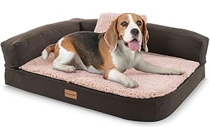 brunolie Odin - canapé pour Chien, Lavable, orthopédique et antidérapant, Coussin pour Chien, Dossier Amovible, Taille S (80 x 60 x 10 cm) - Beige