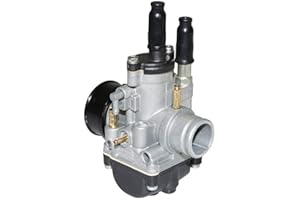 Dell'Orto - Carburatore Dellorto Phbg 19 DS (Montaggio Flessibile – con lubrificazione – con depressione – Starter a Cable) (RIF. 2631 m)