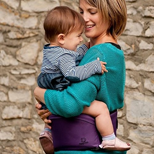 hippychick hipseat ebay