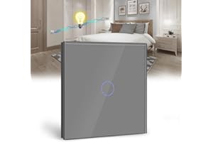 BSEED Interruptor Táctil de Pared - 1 Gang 2 Vías Con Panel de Vidrio Templado, Gris