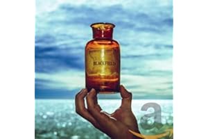 Blackfield V