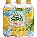 Produktbild SPA fruit - Lemon Cactus, 6x500ml