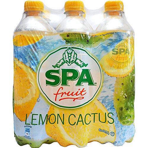 Preisvergleich Produktbild SPA fruit - Lemon Cactus, 6x500ml