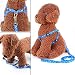 Produktbild Welpen Blei Haustier kleiner Hund Nylon Drucken Halsband Gurt Leine Set Neck Einstellbare Farbe zufllig