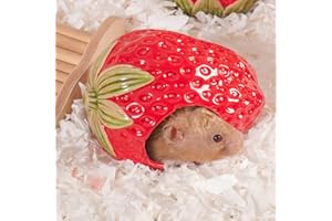 Kelivi Keramik Hamster Versteck, Erdbeer Zwerg Hamster Haus, Meeresschwein Habitat Dekor, Hideaway Haus Höhle für Gerbil, Kühles Bett für die ganze Saison (Rot)