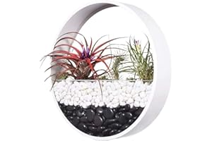 Ecosides Macetas Colgantes Pared Modernas,Ronda Metal Maceta para Flores con Soporte Extraíble para Sala de Estar,Balcón,Jardín Montaje de Pared Macetero Plantador con Orificio de Drenaje