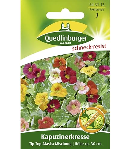 Kapuzinerkresse, Variegated Queen : Amazon.de: Garten