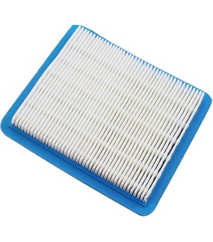 Filtro Aria Intek 23 E 24 HP 44H700, 44K700, 44M700 BRIGGS & STRATTON - R.A.G. R - Foto 10