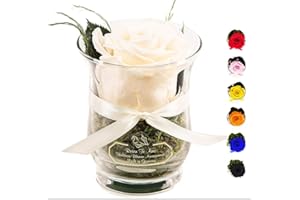 Rosen-Te-Amo |Ewige Rose im Glas, duftend, handgefertigt, weiß|Echte ewige Rose in Geschenkbox |Geschenk für Frauen, Mama |Konservierte Rose zum Weihnachten, Valentinstag, Muttertag, DekoGeschenk