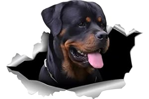 TIZIKJ Autoaufkleber Rottweiler Aufkleber 15cm(5.9 Inch) Rottweiler Personalisieren Reflektierende Aufkleber 3D Zerrissen Aufkleber Haustier Hund Lustig Autoaufkleber Rottweiler Car Sticker Lustig Dekor