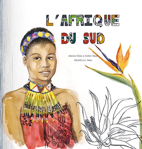 couverture de : L'Afrique du Sud