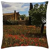 Fácil de lavar, nuestras fundas de almohada decorativas con cierre de cremallera oculto son absolutamente seguras para lavar sin esfuerzo en la lavadora. Lavado a 30 grados de agua con colores sólidos y resistentes a la decoloración, soportan innumerables ciclos de lavado, saliendo como nuevos.