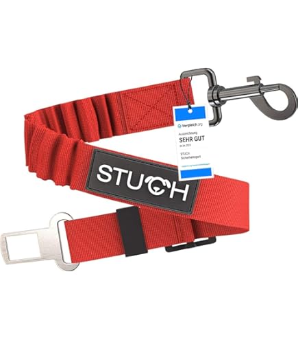 Ceinture De Sécurité Pour Chien TOOAD Avec Amortisseur élastique Et Ceinture Chien