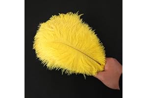 DUORIES Lot de 10 plumes d'autruche naturelles de 25 à 30 cm Plumes pour loisirs créatifs Pour attrape-rêves Accessoire de décoration d'intérieur Costume Décoration de table de mariage, fête, chapeaux Jaune