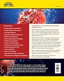 Image de HTML5 und CSS3 - HTML5 und CSS3. Der Meisterkurs. Alle neuen Funktionen und Möglichkeiten