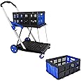 Folding Shopping Cart, 2-Tier Collapsible Trolley with Removable Crate, Heavy Duty Utility with 360° Swivel Wheels,Holds 45kg, Portable for Grocery, Picnic, Office & Outdoor Use