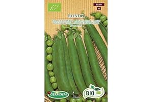 Germisem Biologico Rondo Semi di Piselli 80 g