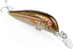 Seaspin Stria 95 S Tri - Esca Artificiale da Pesca