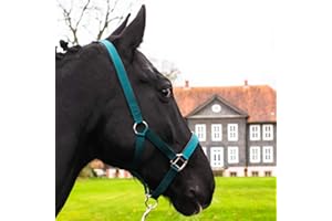 Pferdelinis Licol pour demi-sang, pur-sang, sang froid, poney - Licol d'écurie, licol de saule, 2 boucles à ardillon réglables, sûr et indéchirable (sapin, poney).