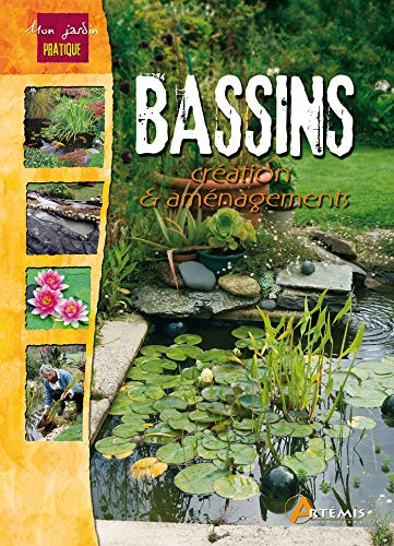 Télécharger Bassins, création et aménagements PDF