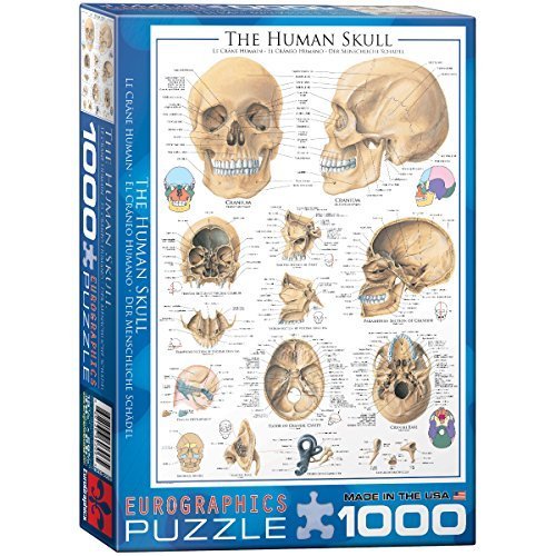 Preisvergleich Produktbild Eurographics Chicago River Puzzle (1000 Pieces) by Eurographics